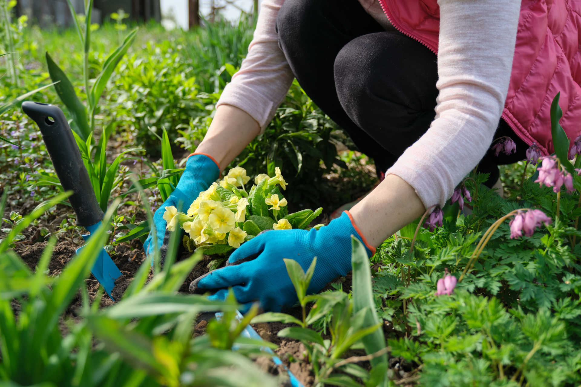 garden therapy ortoterapia