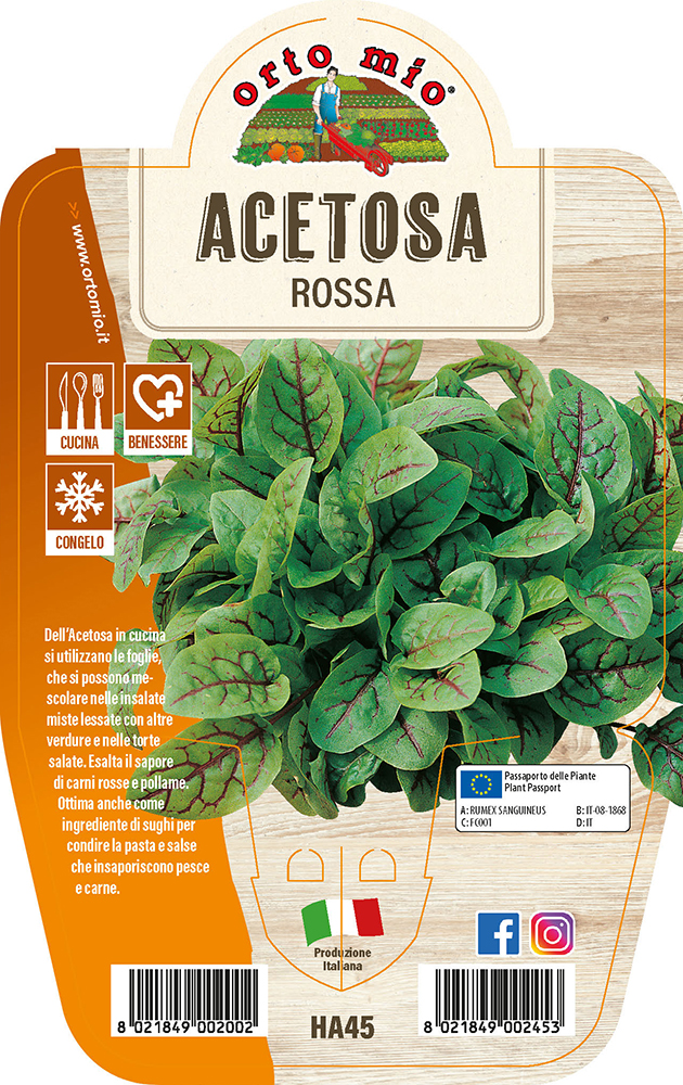 acetosa