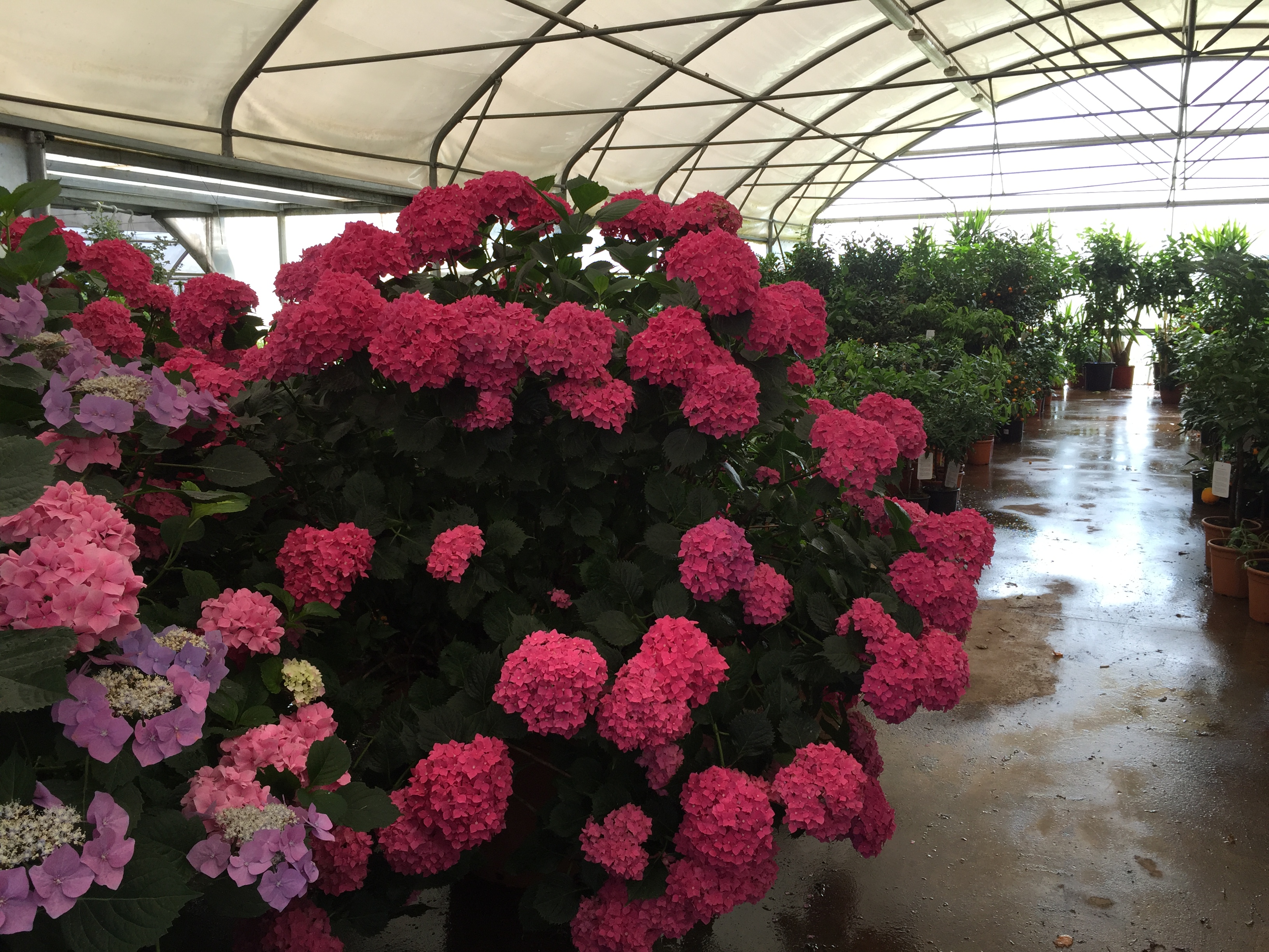image00019